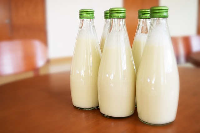 Uvođenje kravljeg mleka
