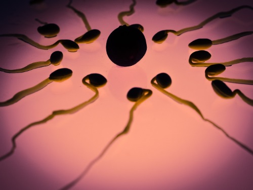 normalne vrednosti spermograma