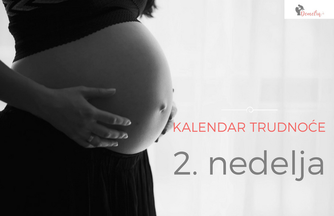 Prvi mesec trudnoce - 2 nedelja trudnoce